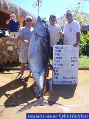 351 lbs Yellow Fin Tuna caught in San Jose
