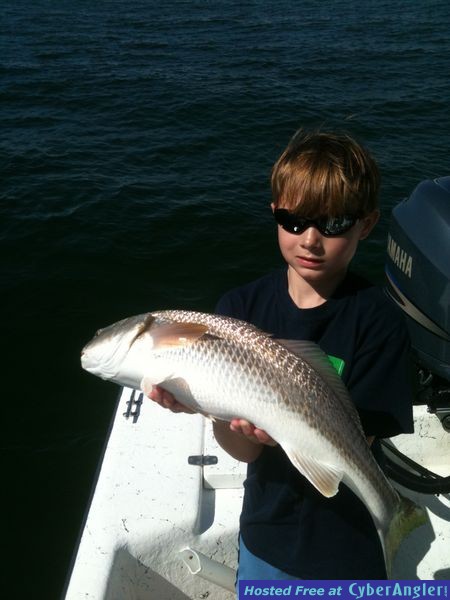 trout_379