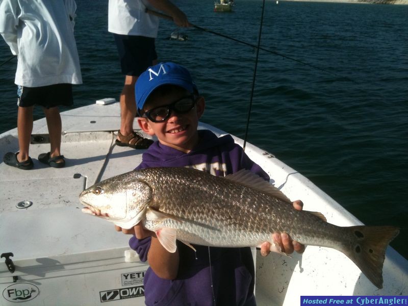 trout_380