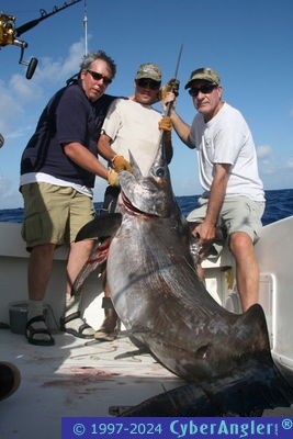 Click to Enlarge Photo