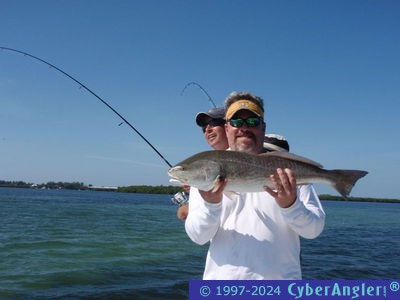 Click to Enlarge Photo