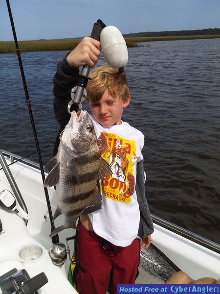 black drum