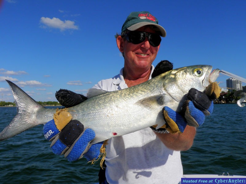 Afternoon Tarpon on the Knot Nancy