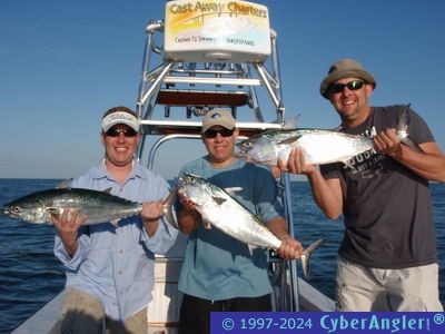 Click to Enlarge Photo