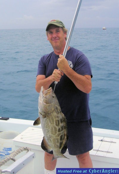 Weiss_black_grouper