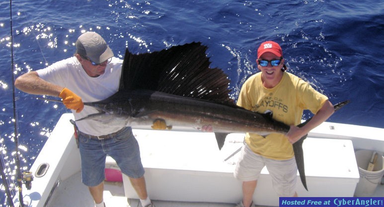 Stroud_sailfish