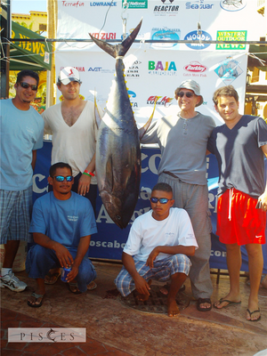 Click to Enlarge Photo