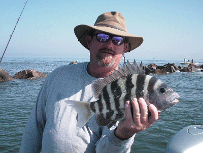 www.captdaves.com