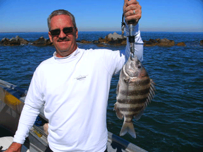 www.captdaves.com