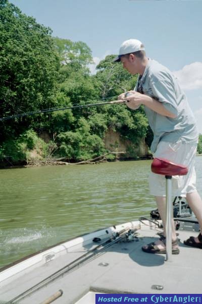 Landing a winning Bass