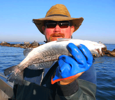 www.captdaves.com