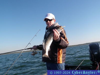 Click to Enlarge Photo