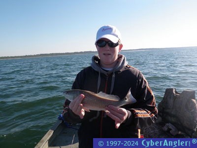 Click to Enlarge Photo