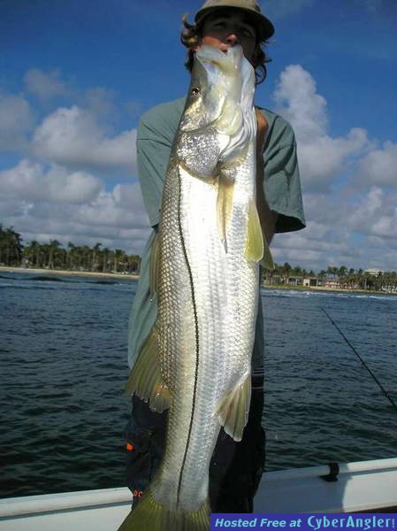 sonny-snook
