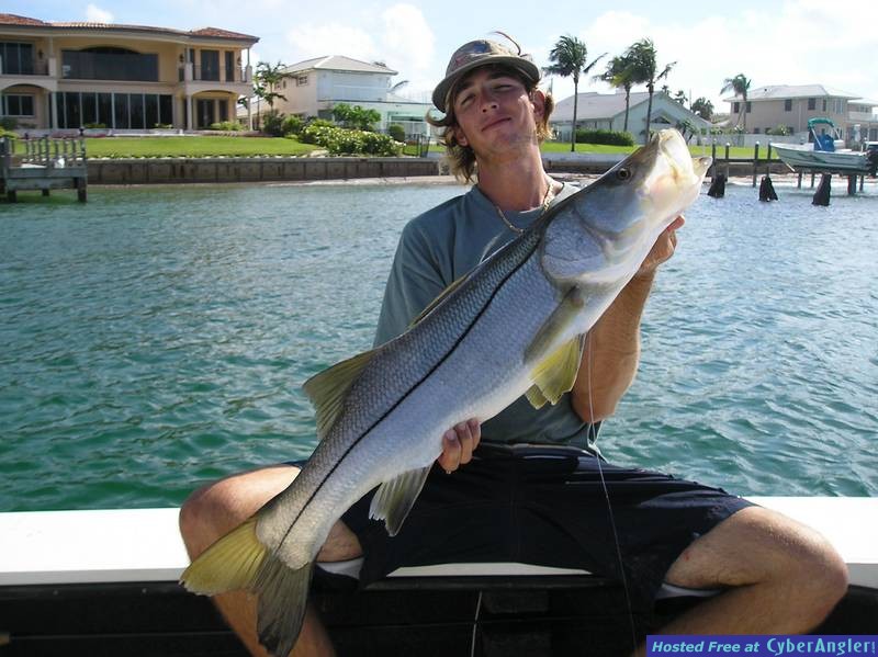 big ol snook