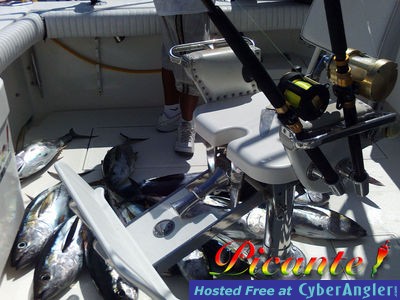 Click to Enlarge Photo