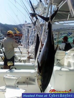 Click to Enlarge Photo