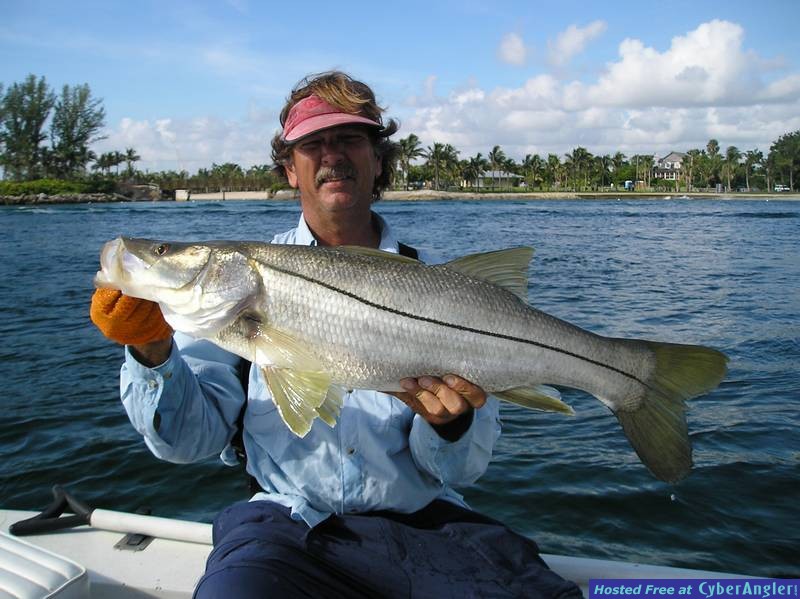 another pig