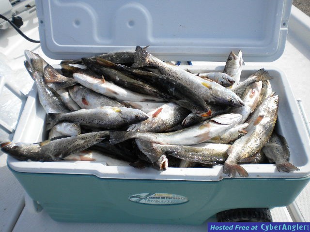 DSCN0535