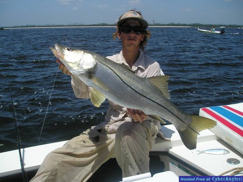 snook
