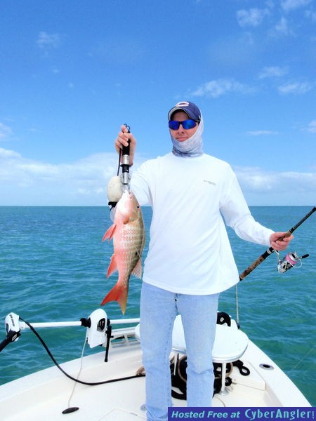 Click to Enlarge Photo