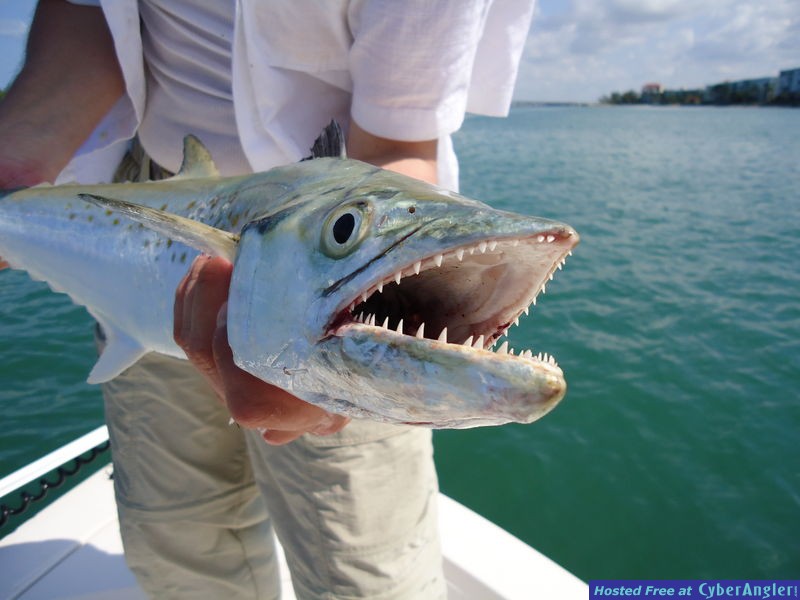 Click to Enlarge Photo