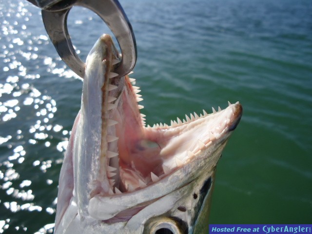 Click to Enlarge Photo