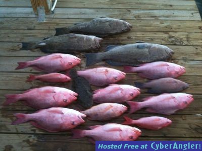 Click to Enlarge Photo