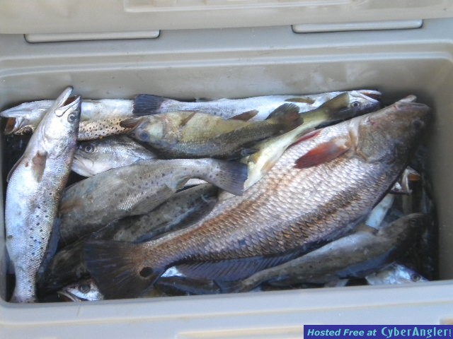 DSCN0546