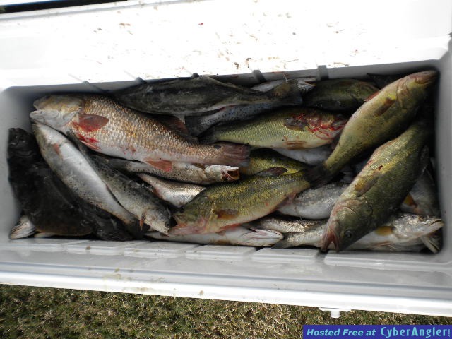 DSCN0556