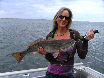 www.captdaves.com