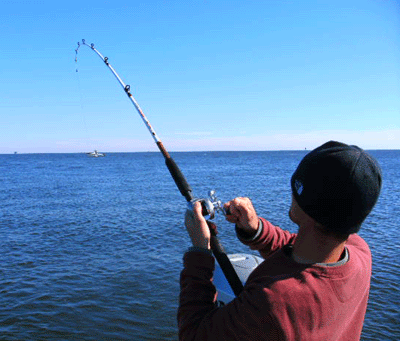 www.captdaves.com