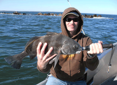 Click to Enlarge Photo