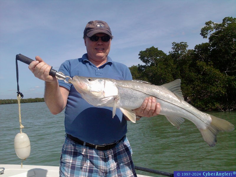 Snook and Permit