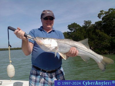 Snook and Permit