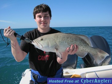 28-inch gag grouper