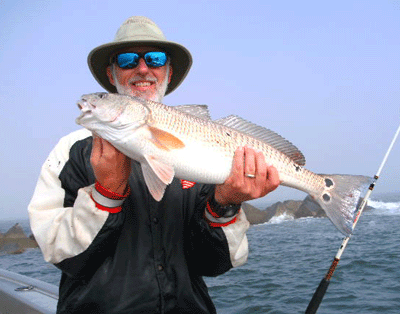 Click to Enlarge Photo