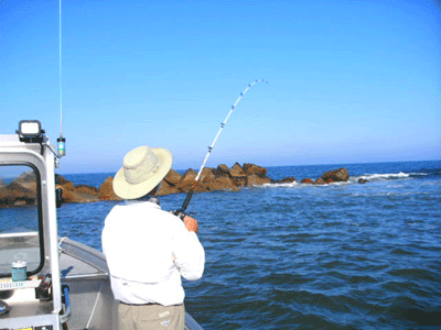 Click to Enlarge Photo