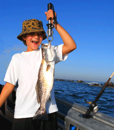 Click to Enlarge Photo