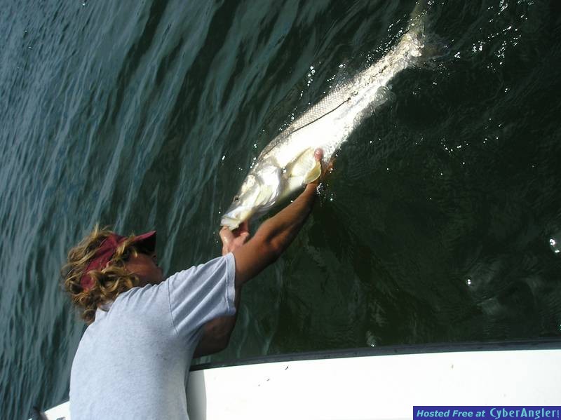 snook!!!!!