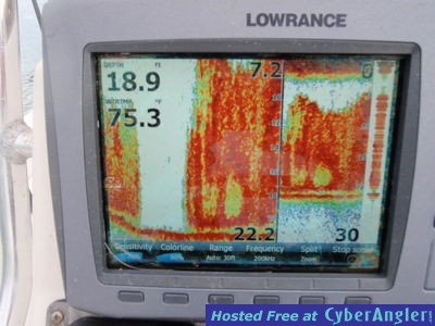 Click to Enlarge Photo