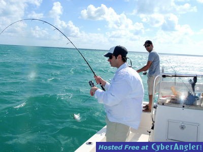 Click to Enlarge Photo