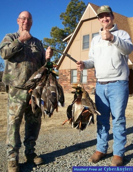 Mallards in Oklaholma