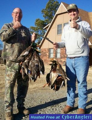 Mallards in Oklaholma