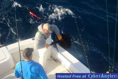 Click to Enlarge Photo