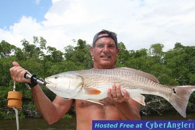 Click to Enlarge Photo