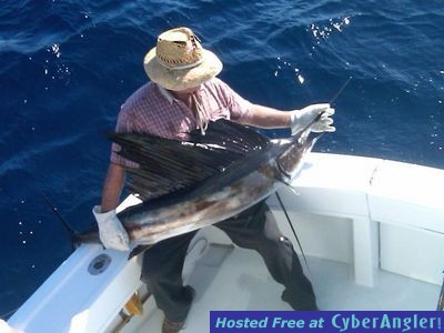 Click to Enlarge Photo