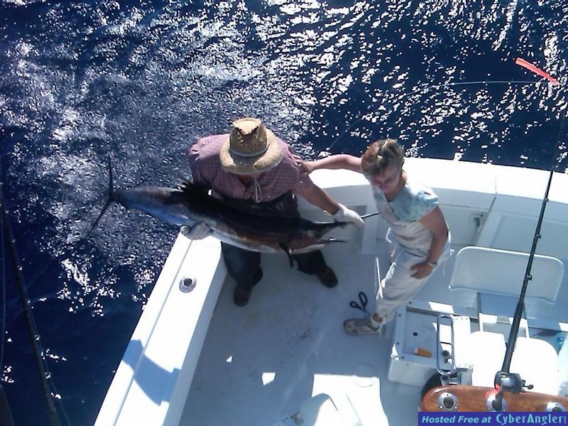 Sailfish3 &amp;amp; 5