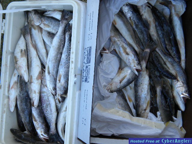 DSCN0584