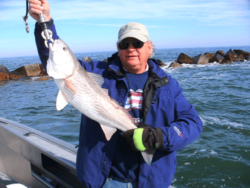 www.captdaves.com